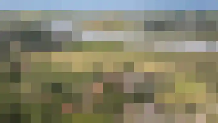 Bakelbos 7 Culemborg thumbnail 60