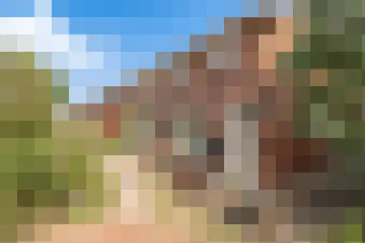 Bakelbos 7 Culemborg thumbnail 8