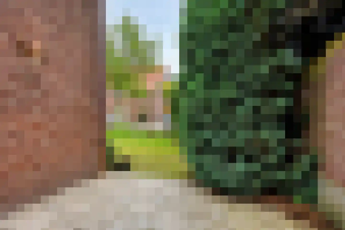 Bakelgeertstraat 2 Boxmeer thumbnail 41