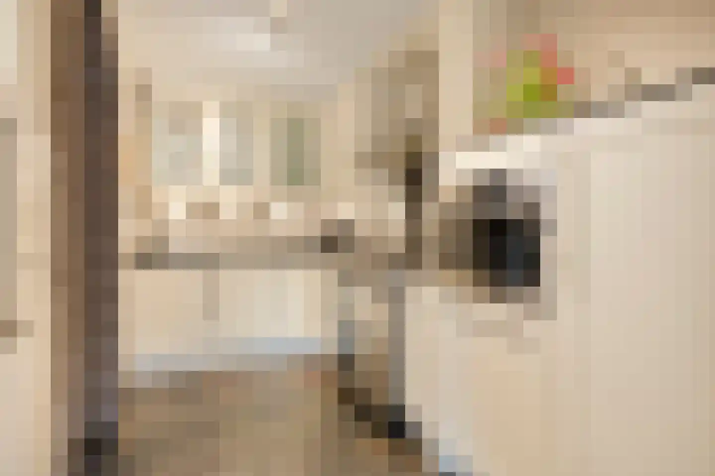 Bakelgeertstraat 27 Boxmeer thumbnail 17