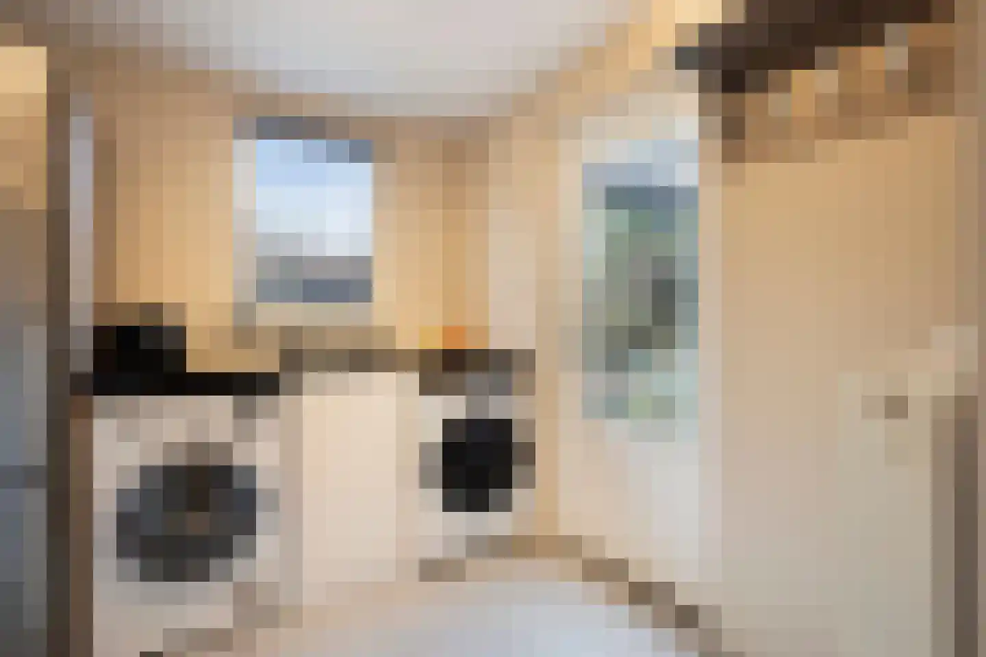 Bakelgeertstraat 27 Boxmeer thumbnail 19