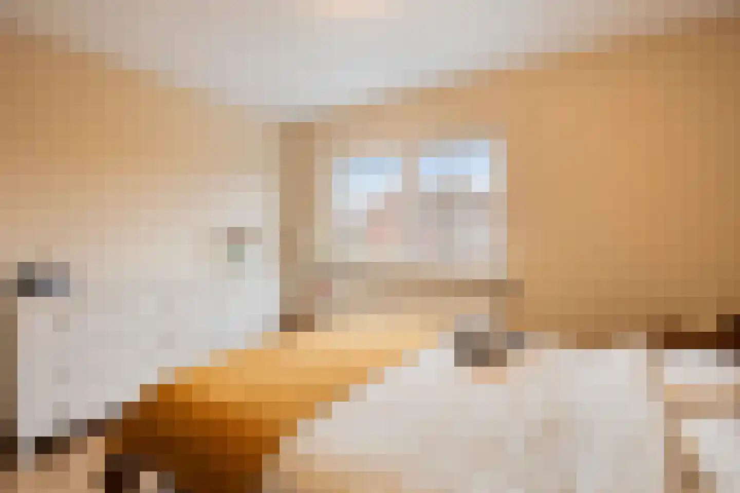 Bakelgeertstraat 27 Boxmeer thumbnail 23