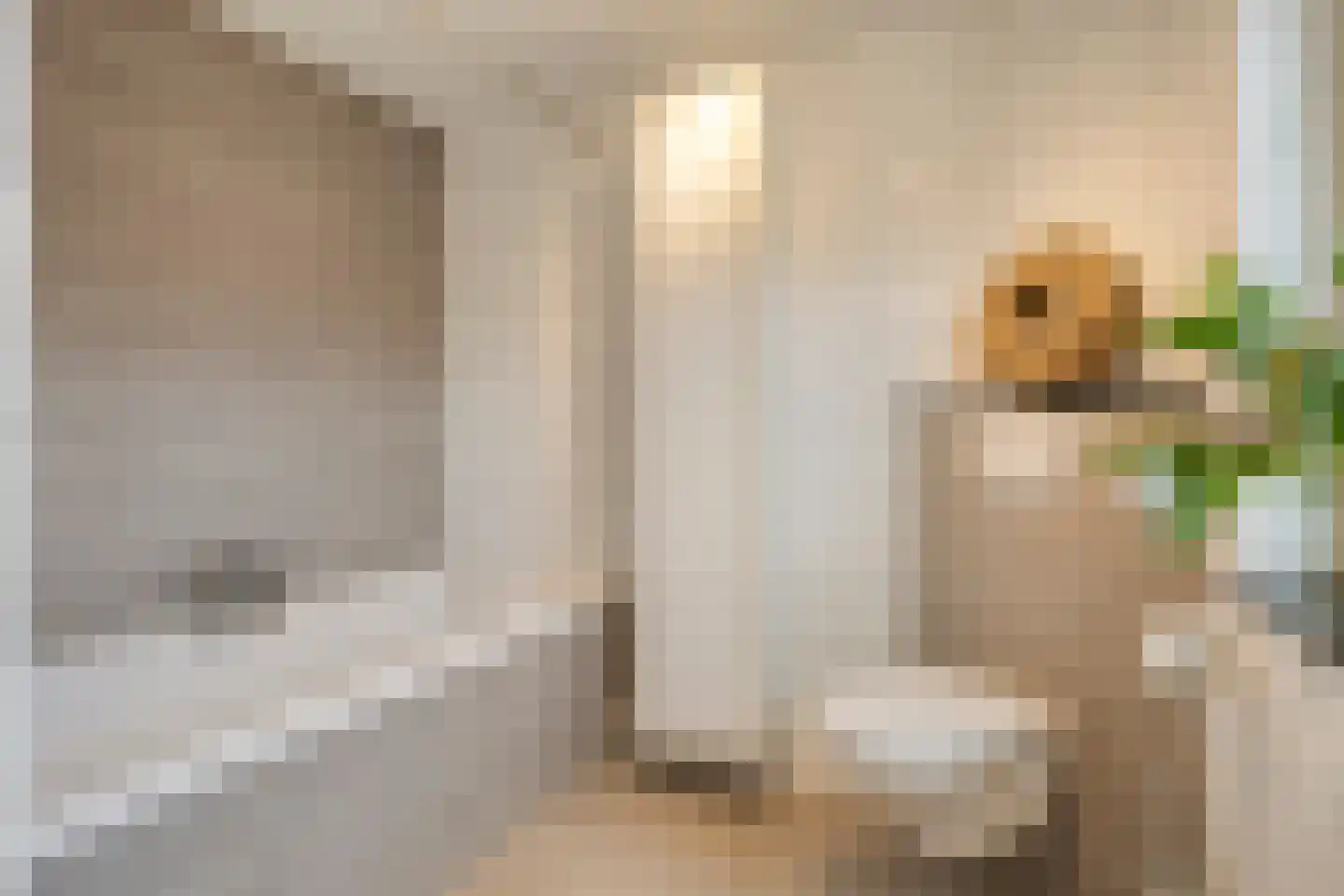 Bakelgeertstraat 27 Boxmeer thumbnail 24