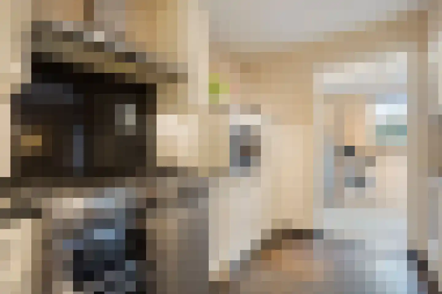 Bakelgeertstraat 27 Boxmeer foto 3