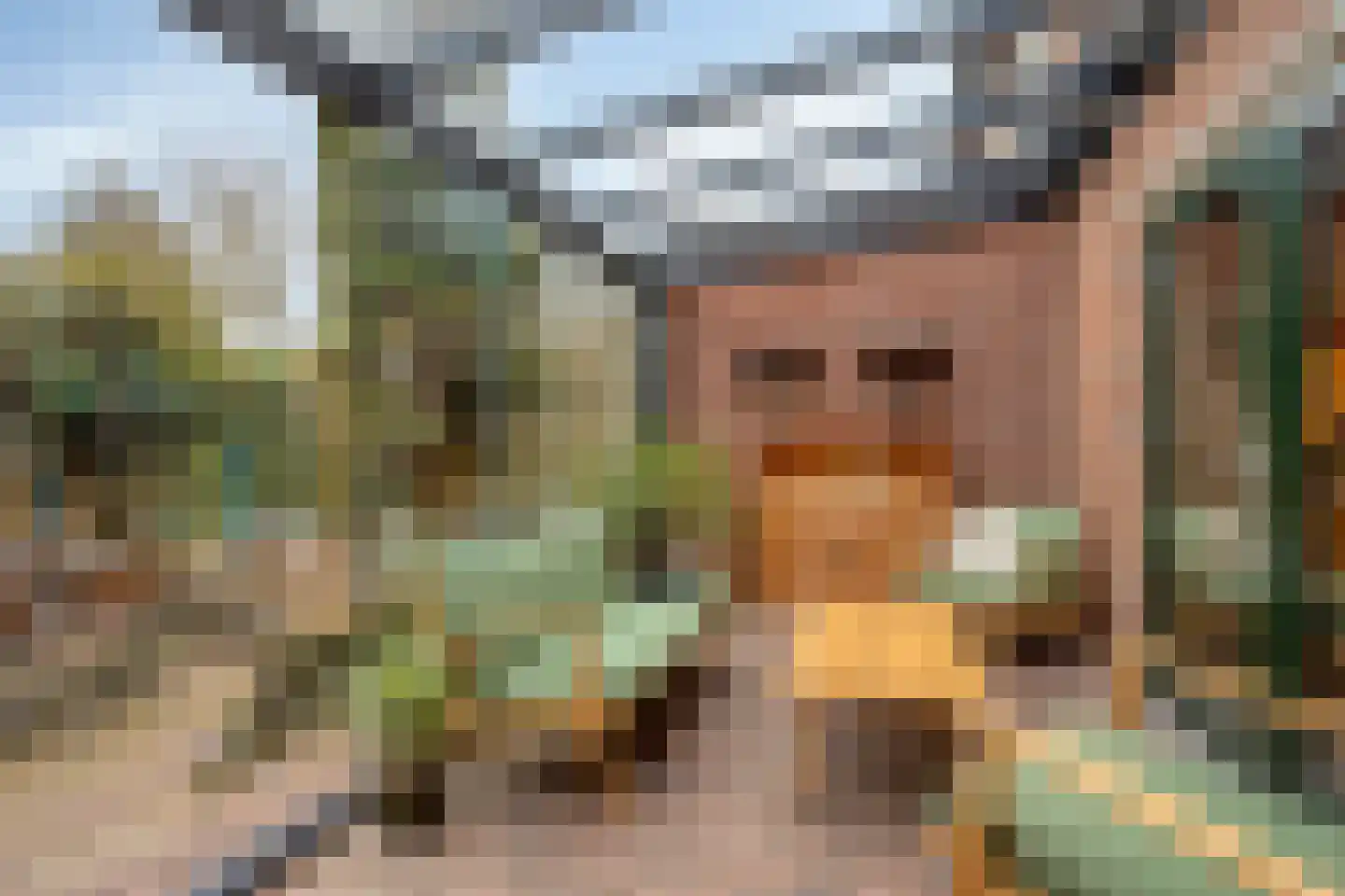 Bakelgeertstraat 27 Boxmeer thumbnail 4