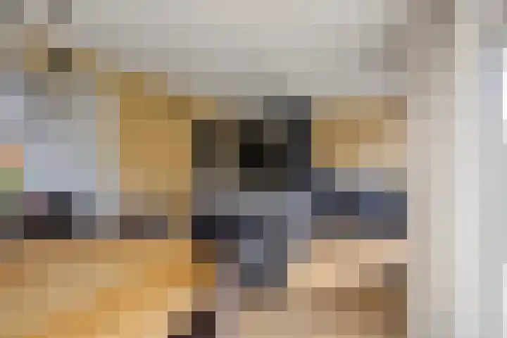 Bakelgeertstraat 31 Boxmeer thumbnail 20
