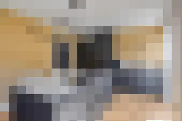 Bakelgeertstraat 31 Boxmeer thumbnail 21