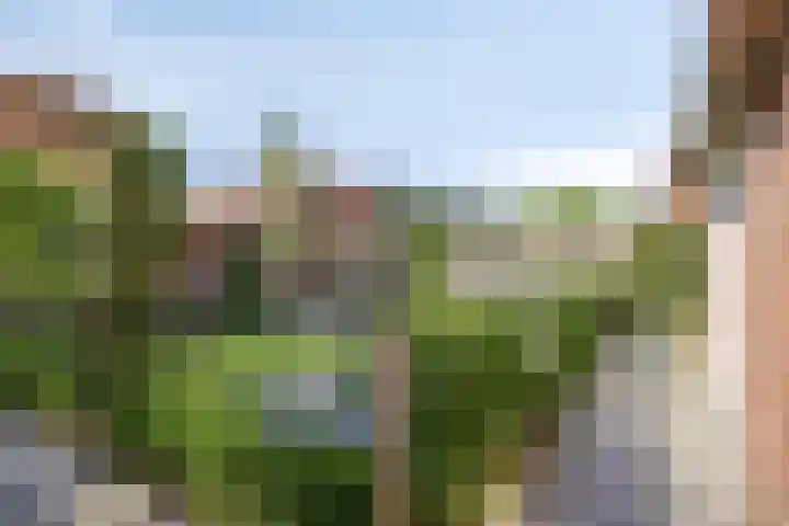 Bakelgeertstraat 31 Boxmeer thumbnail 23