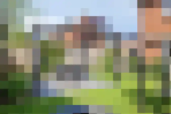 Bakelgeertstraat 31 Boxmeer thumbnail 26