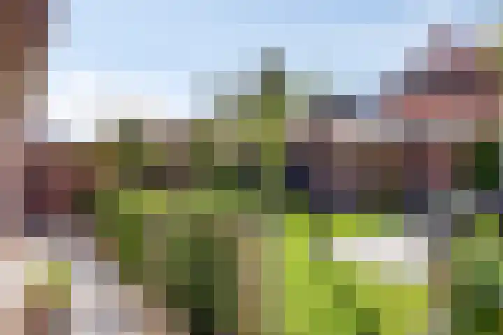 Bakelgeertstraat 31 Boxmeer thumbnail 28