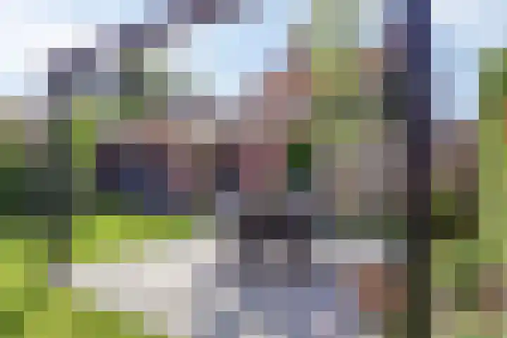 Bakelgeertstraat 31 Boxmeer thumbnail 29