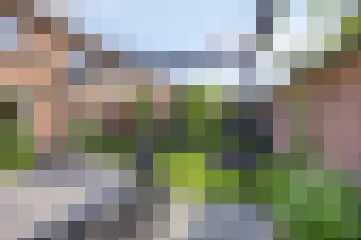 Bakelgeertstraat 31 Boxmeer thumbnail 31