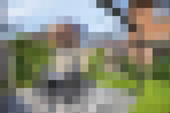 Bakelgeertstraat 31 Boxmeer thumbnail 32