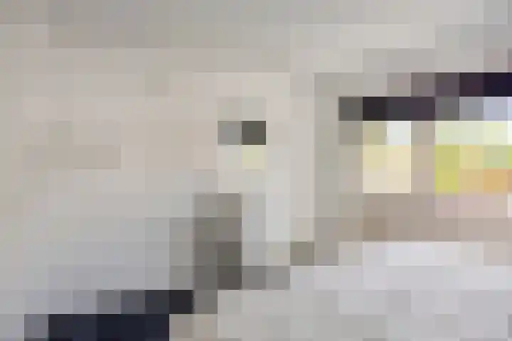 Bakelgeertstraat 31 Boxmeer thumbnail 37