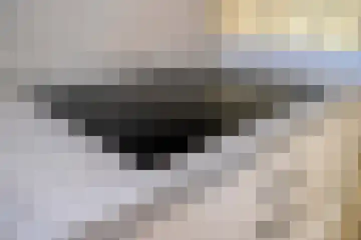 Bakelgeertstraat 4 Boxmeer thumbnail 13
