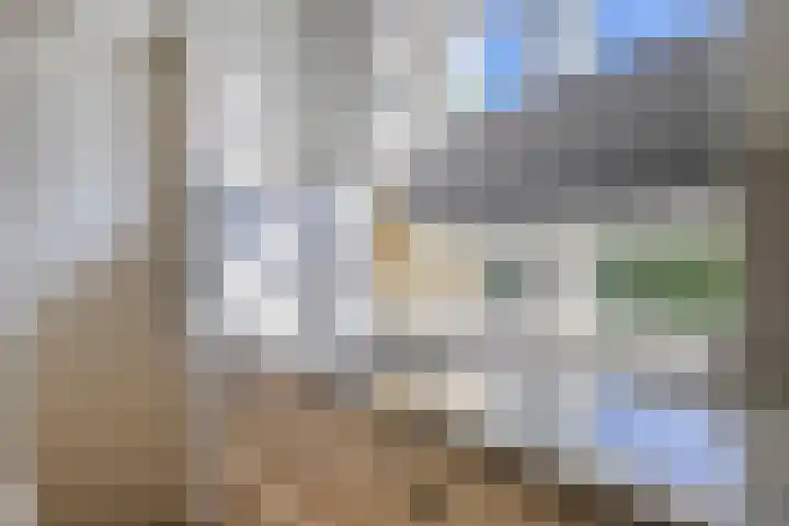 Bakelgeertstraat 4 Boxmeer thumbnail 14