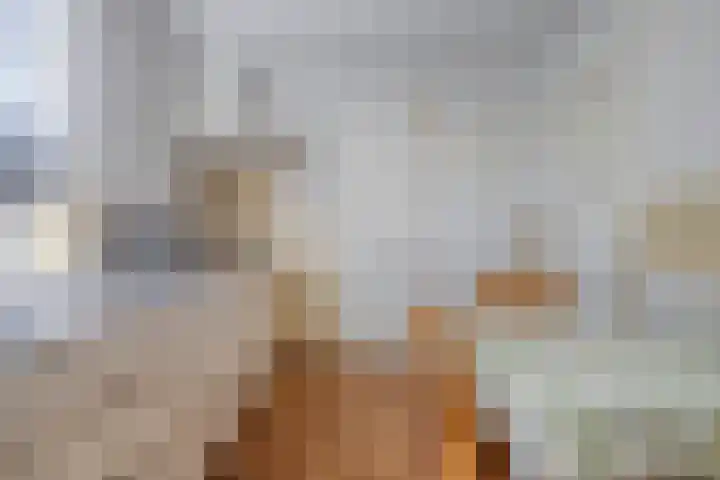 Bakelgeertstraat 4 Boxmeer thumbnail 15
