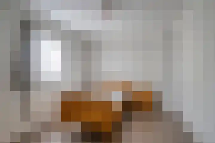 Bakelgeertstraat 4 Boxmeer thumbnail 24