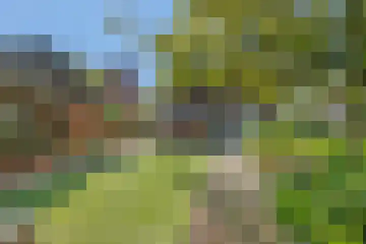 Bakelgeertstraat 4 Boxmeer thumbnail 31