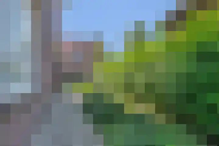 Bakelgeertstraat 4 Boxmeer thumbnail 36