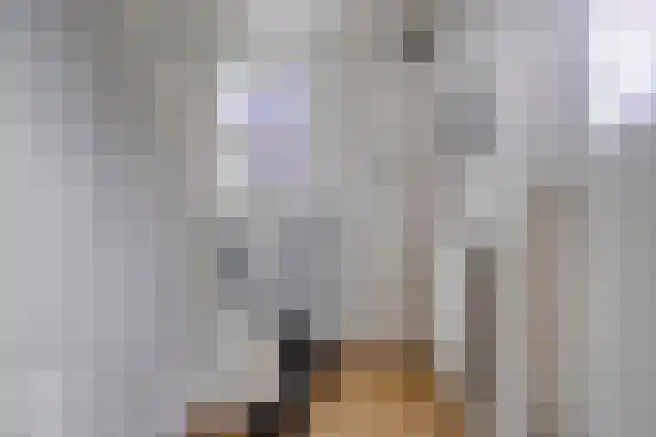 Bakelgeertstraat 4 Boxmeer thumbnail 4