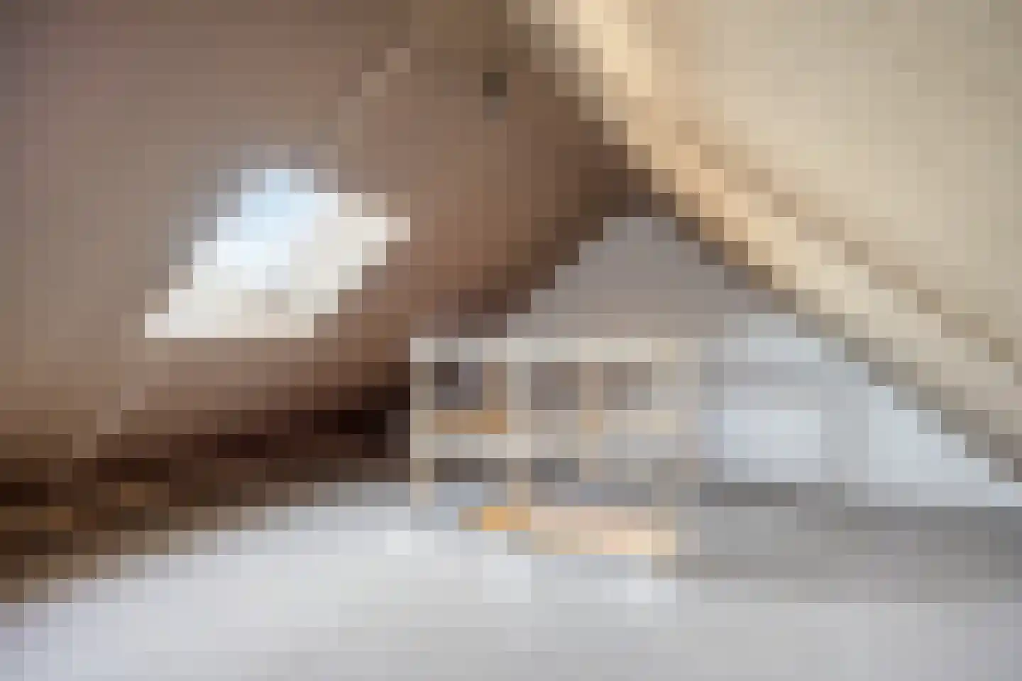 Bakelgeertstraat 59 Boxmeer thumbnail 29