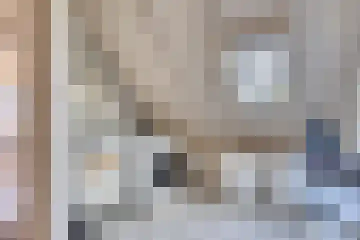 Bakelgeertstraat 72 Boxmeer thumbnail 15