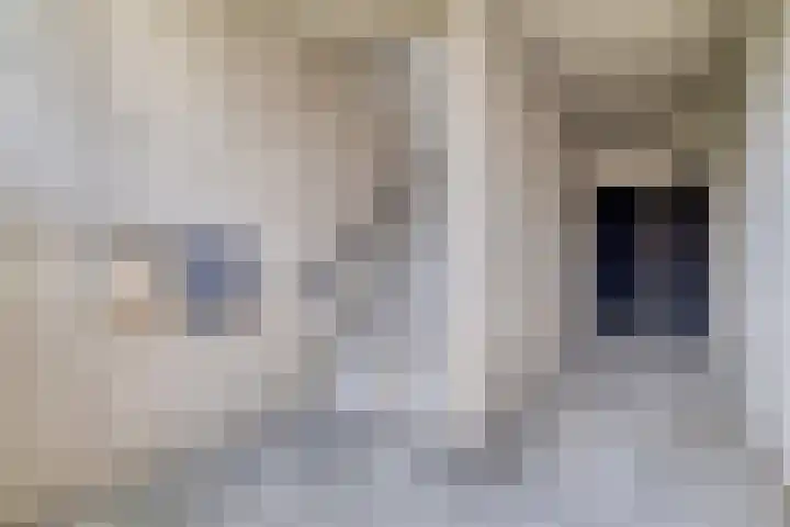 Bakelgeertstraat 72 Boxmeer thumbnail 17