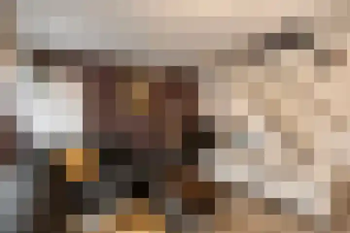 Bakelgeertstraat 74 Boxmeer thumbnail 5