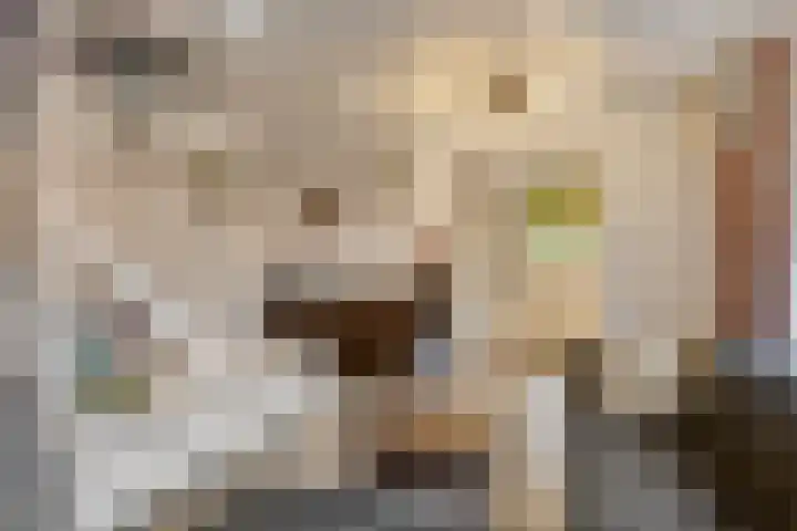 Bakelgeertstraat 74 Boxmeer thumbnail 7