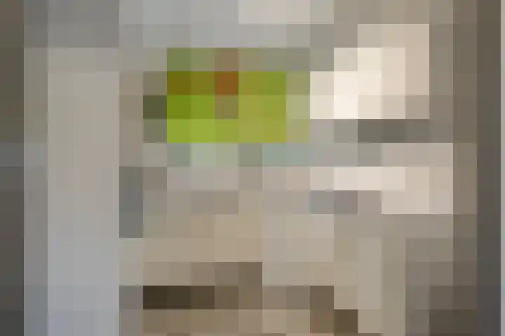 Bakelgeertstraat 74 Boxmeer thumbnail 8