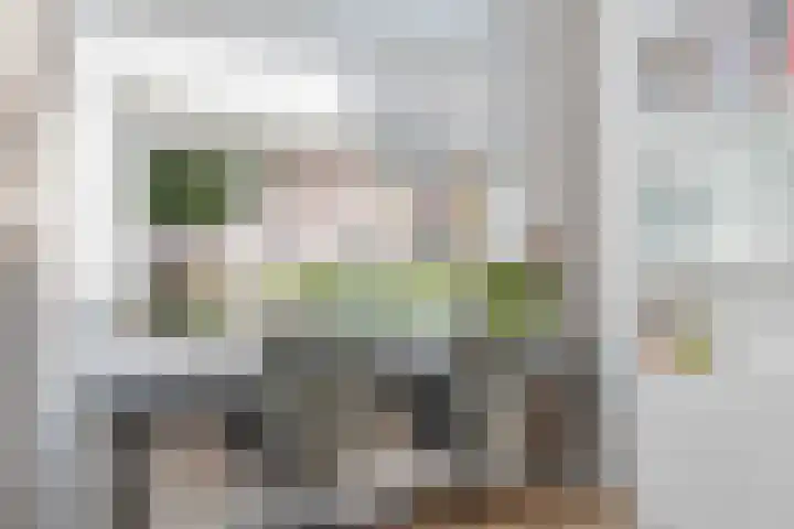 Bakelgeertstraat 9 Boxmeer thumbnail 22
