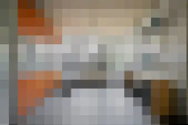 Bakelgeertstraat 9 Boxmeer thumbnail 29