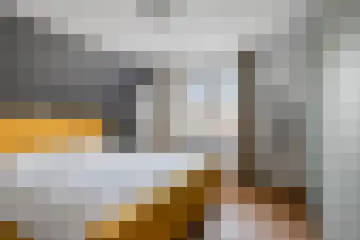 Bakelgeertstraat 9 Boxmeer thumbnail 35