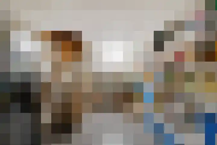 Bakelgeertstraat 9 Boxmeer thumbnail 47