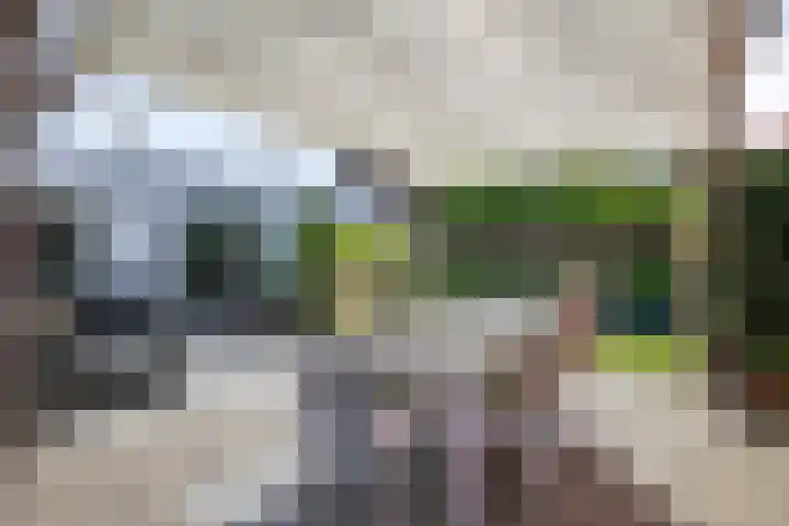 Bakelgeertstraat 9 Boxmeer thumbnail 52