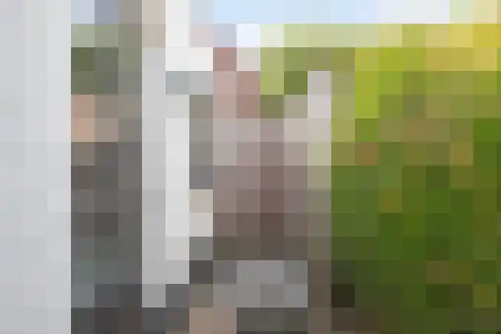 Bakelgeertstraat 9 Boxmeer thumbnail 56