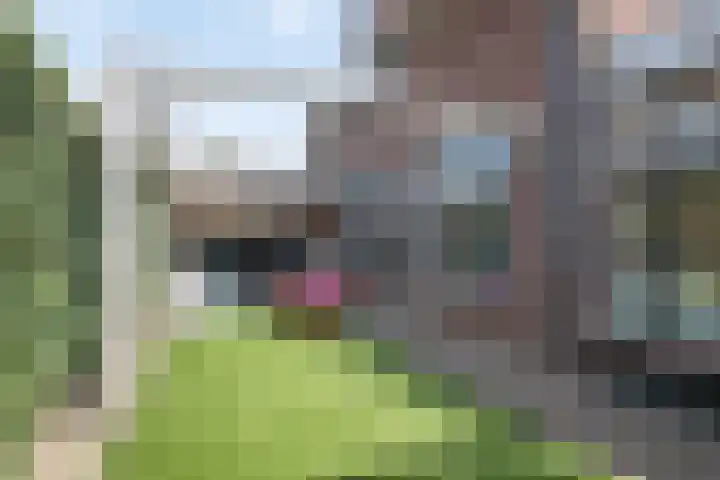 Bakelgeertstraat 9 Boxmeer thumbnail 57