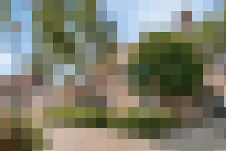 Bakelgeertstraat 9 Boxmeer thumbnail 62