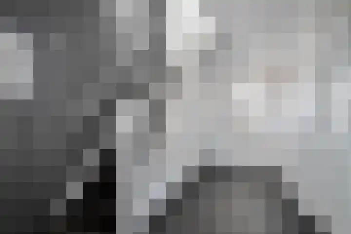 Bakelgeertstraat 9 Boxmeer thumbnail 7