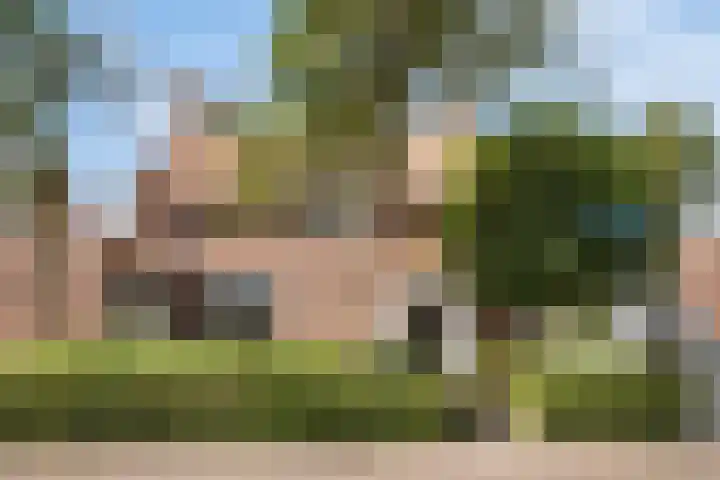 Bakelgeertstraat 9 Boxmeer thumbnail 70