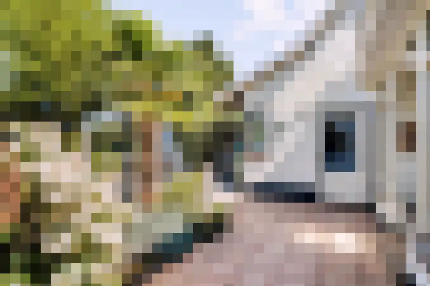 Bakelsedijk 112 Helmond thumbnail 6