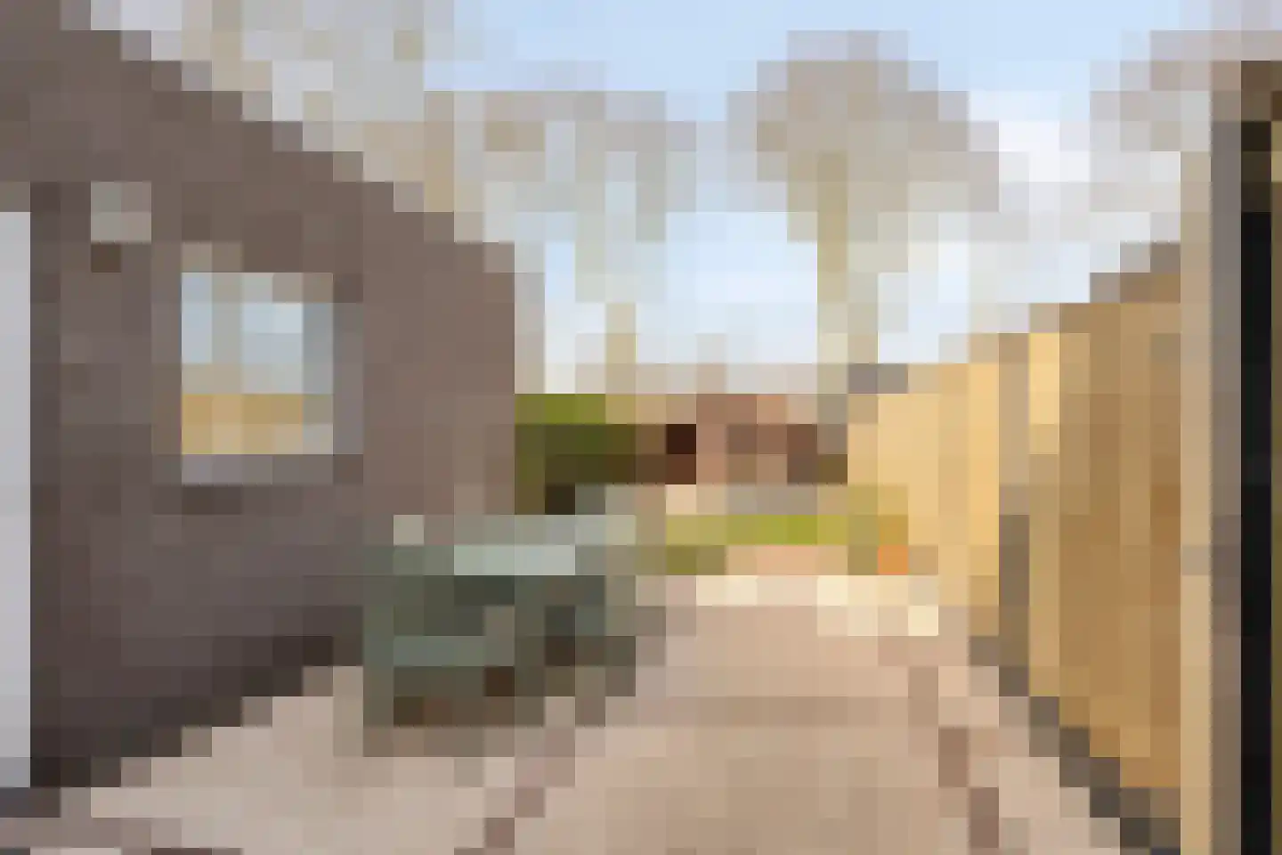 Bakelsedijk 126 Helmond thumbnail 33