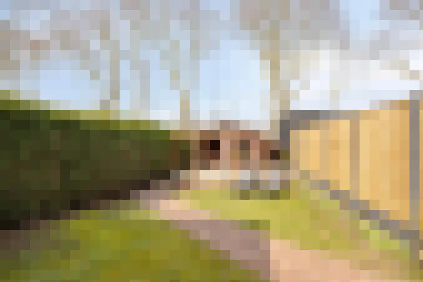Bakelsedijk 126 Helmond thumbnail 34