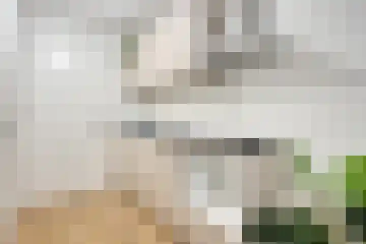 Bakelsedijk 6 A Helmond thumbnail 4