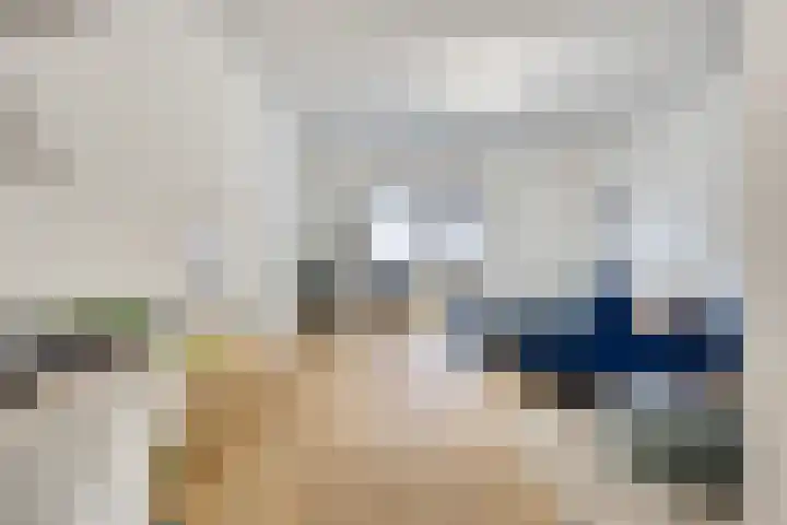 Bakelsedijk 6 A Helmond thumbnail 5