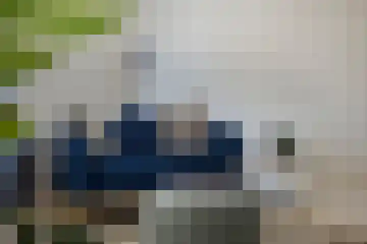 Bakelsedijk 6 E Helmond thumbnail 8