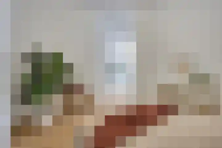 Bakelsedijk 6 J Helmond thumbnail 13