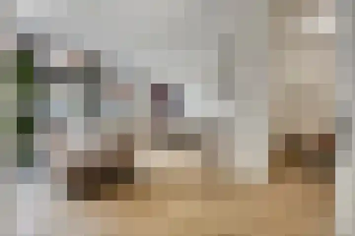 Bakelsedijk 6 N Helmond thumbnail 6
