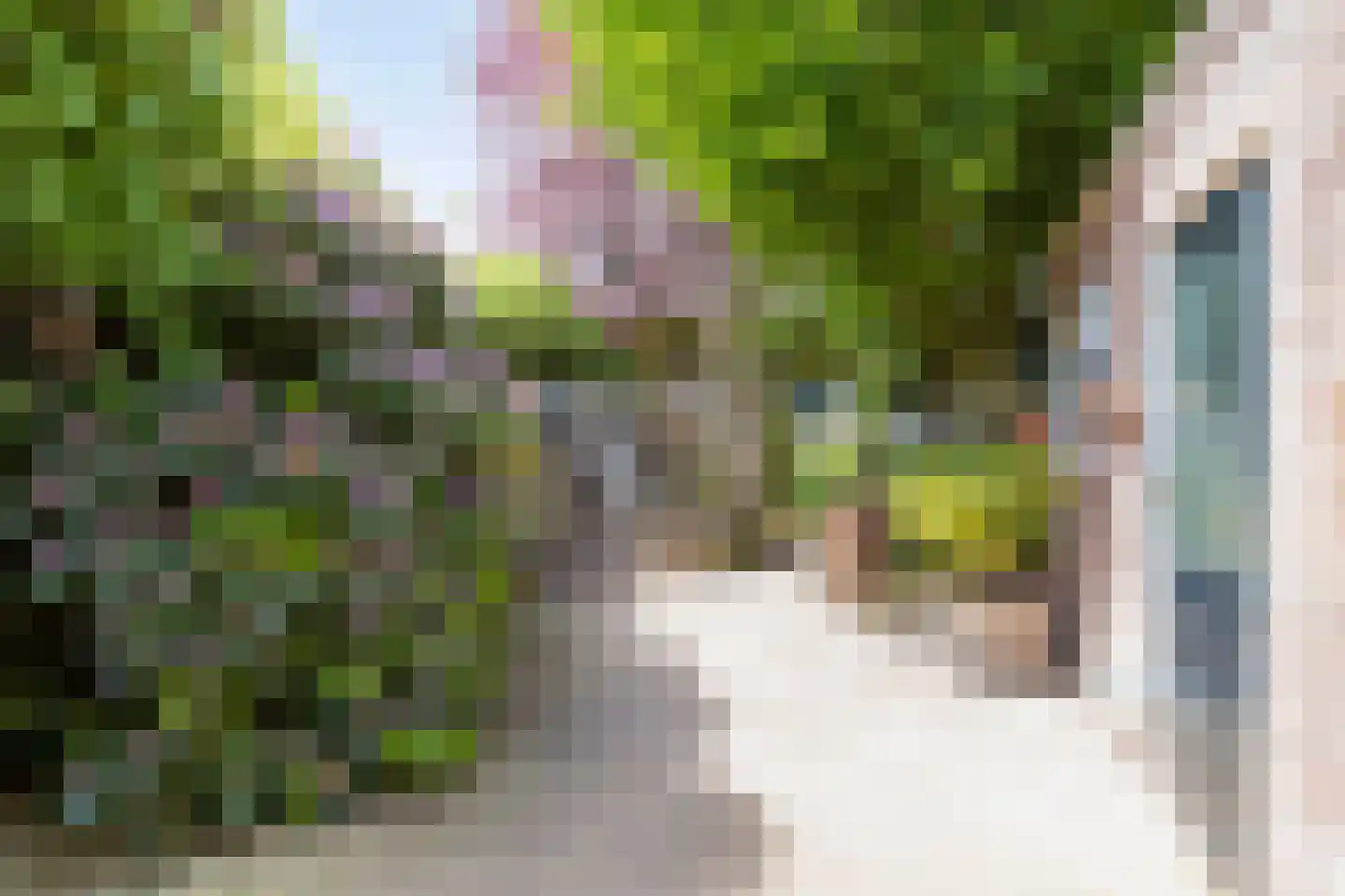 Bakelsedijk 60 Helmond thumbnail 30